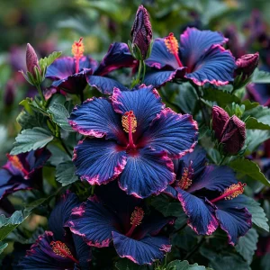 Гибискус Голден Глоу купить по цене от 259р. в интернет-магазине «Посадика» с доставкой почтой в в Дальнереченске и по всей России – [изображение №1].